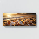 Seashell Radiance 80
