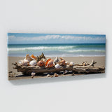 Seashell Seaside Elegance 72