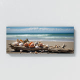 Seashell Seaside Elegance 72