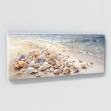 Seashell Serene Shoreline 41