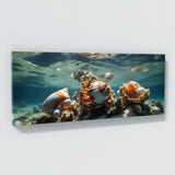 Seashell Symphony 77