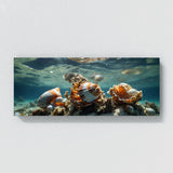 Seashell Symphony 77