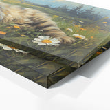Cat Meadow Nap 60