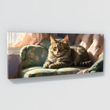Cat Sunlit Slumber 26