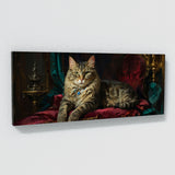 Cat Velvet Majesty 15