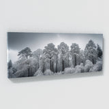 Winter Snowy Tops 69