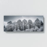 Winter Snowy Tops 69