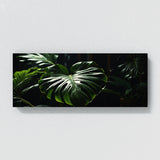 Plant Drama 62