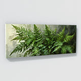 Plant Fern Precision 5