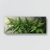 Plant Fern Precision 5