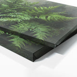 Plant Fern Precision 5