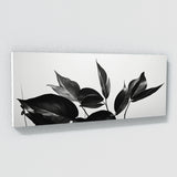 Plant Monochrome Foliage 87