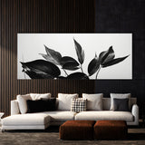 Plant Monochrome Foliage 87