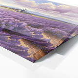 Plant Purple Serenity Fields 34