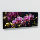 Plant Radiance 74