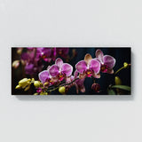 Plant Radiance 74