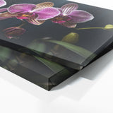 Plant Radiance 74