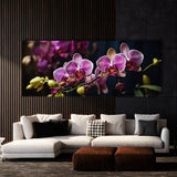 Plant Radiance 74