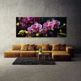Plant Radiance 74