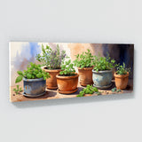 Plant Terracotta Herb 37