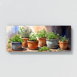 Plant Terracotta Herb 37