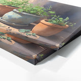 Plant Terracotta Herb 37