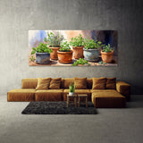 Plant Terracotta Herb 37