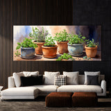 Plant Terracotta Herb 37