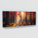 Fall Radiant Forest Path 81