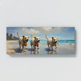 Dog Canine Coast Playtime 50