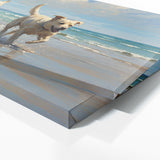 Dog Canine Coast Playtime 50