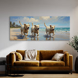 Dog Canine Coast Playtime 50