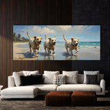 Dog Canine Coast Playtime 50