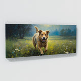 Dog Dewy Meadow 57