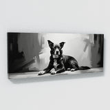 Dog Elegant Contrast Canine 93