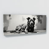 Dog Elegant Contrast Canine 94