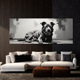 Dog Elegant Contrast Canine 94