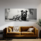 Dog Elegant Contrast Canine 94
