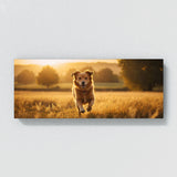 Dog Golden Chase 82