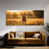 Dog Golden Chase 82