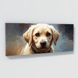 Dog Innocent Gaze 15