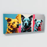 Dog Pop Pooch Portrait 95