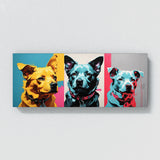 Dog Pop Pooch Portrait 95