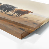 Cattle Abstract Grazing 86
