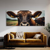 Cattle Bovine Gaze 71