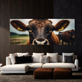 Cattle Bovine Gaze 71