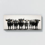 Cattle In Monochrome 91