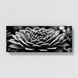 Succulent Monochrome Symphony 64