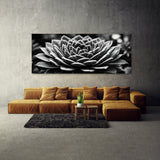 Succulent Monochrome Symphony 64