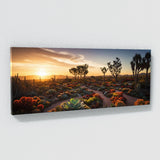 Succulent Sunset Symphony 67